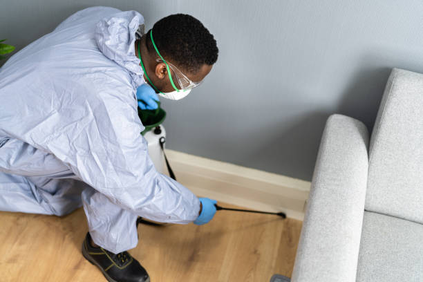 Best Residential Pest Control  in Groveport, OH